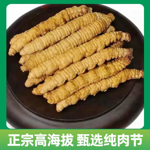 冬虫夏草全肉断草甄选断虫草整肉节虫草大断草性价比高补品营养品 西藏那曲精品整肉条 100克送10克