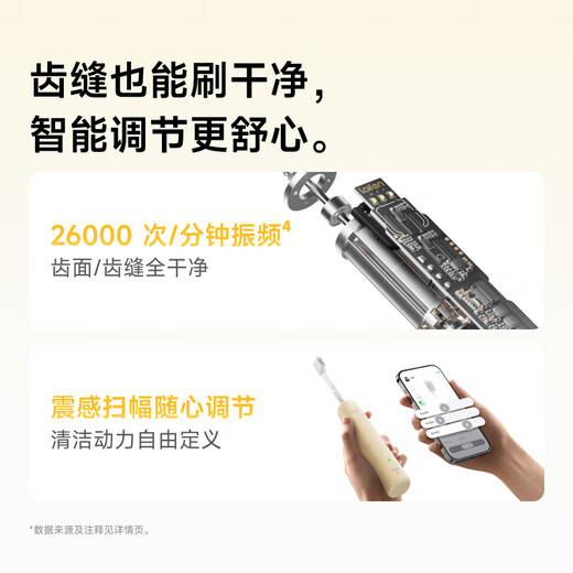 LaiFen LaiFen New Generation Sweeping Electric Toothbrush SE Sensitivity Brush Home Comfortable Cleaning and Gum Protection LaiFen Lightweight and Portable Valentine's Day Gift for Couples to Boyfriend/Girlfriend Matte Gray