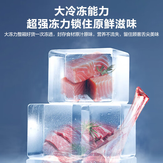 雪花冰柜商用家用冷柜卧式大容量全冷冻柜展示柜一级节能省电 668双温丨一级节能丨减霜80%