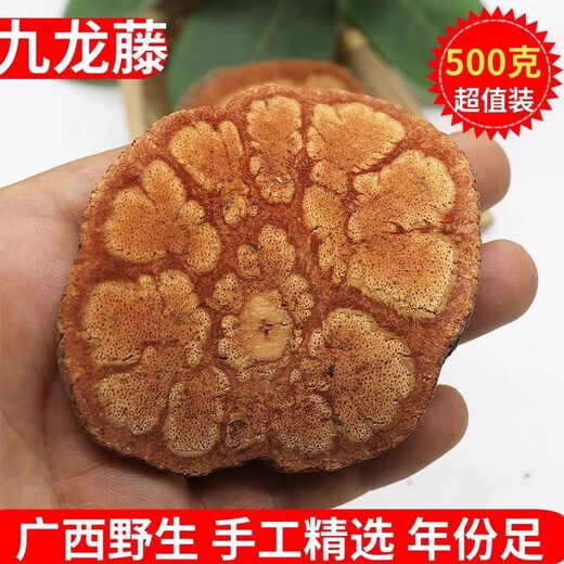 Beijing Tongrentang Guangxi Deep Mountain Jiulong Vine Materiales medicinales chinos de la montaña salvaje Cinco Vínculos de Sangre de Flores Dragón Dragón Suzu Vina Auténtica Flores de ciruela en el hueso Montaña profunda/seleccionado [paquete avanzado] [Vine 1098g] Agricultor auténtico Cosecha de agricultores