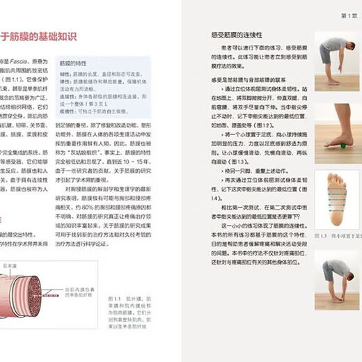 京选阅读【9882人】人体筋膜疗法 疼痛消除 体态的筋膜按压 拉伸方案 临床医学 人体筋膜疗法