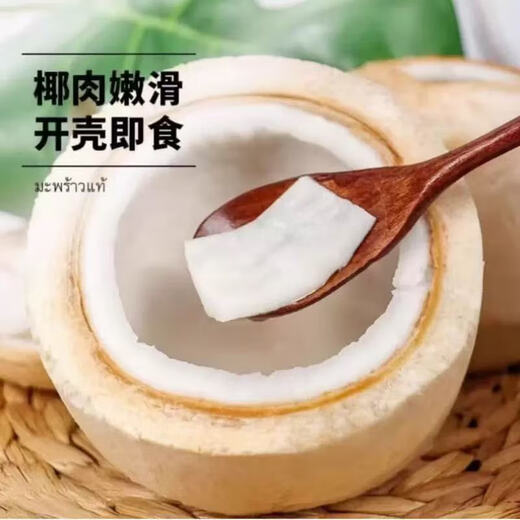 Thai Perfume Green Coconut Fresh Coconut Peeled Milk Fragrant Green Coconut Single Fruit 900g Large Fruit 1 piece (Tryer Pack) Sweet and delicious, full of milky flavor