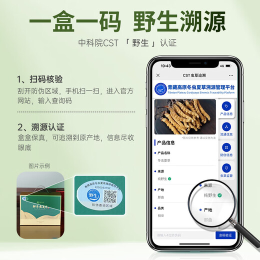 Guokuntang [Chinese Academy of Sciences Traceability] Fresh Cordyceps sinensis Nagqu, Tibet Wild First Stubble Fresh Cordyceps Gift Box Nagqu Fresh Grass 0.8-1.0g/root 30