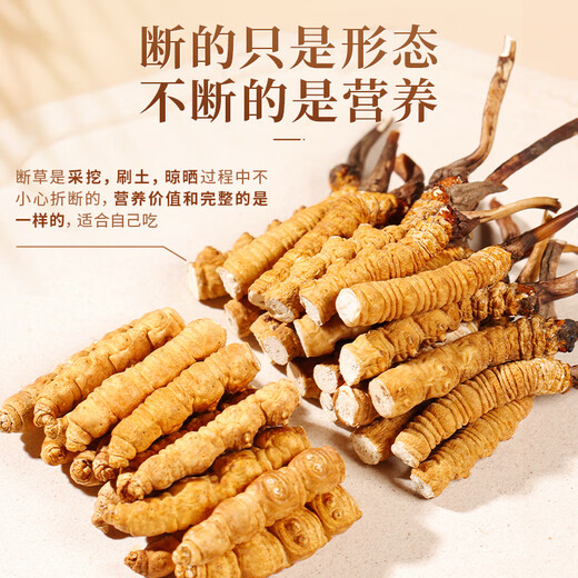 雄风道5克起拍 大断草 新货冬虫夏草藏区雪域虫草 干货正宗断虫草 10克养生装