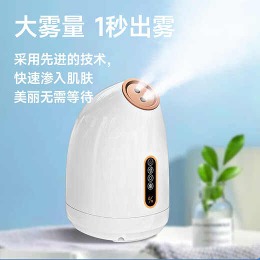 Relieve dryness, facial steamer, hot and cold dual-spray face steamer, household moisturizing nano-spray facial mask hydration device, fully upgraded, daily good things for women and men in autumn and winter, pure white Z16