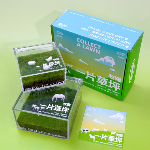 Jingdong green plants, a private lawn, office gift box, moss micro-landscape ornaments, ecological green plants, customized gifts, straight from the source