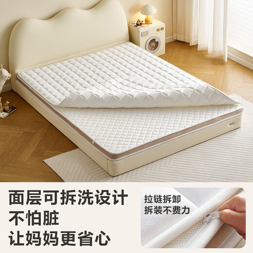 Quanyou Children's Mattress Coconut Brown Backbone Firm Thin Mattress Teenage Bedroom Tatami Single Mattress