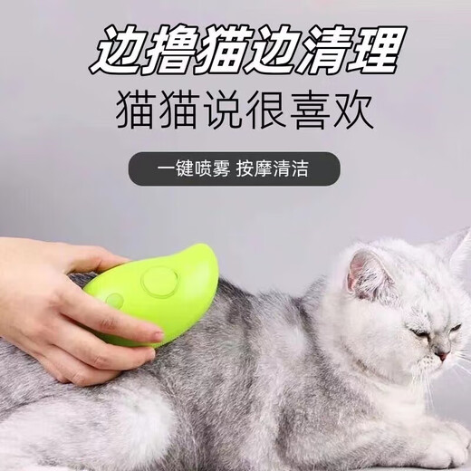 Pet spray combing brush cat and dog massager brush rechargeable hair removal comb to prevent flying hair