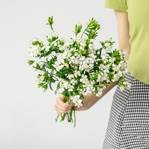 1 bunch of green plums