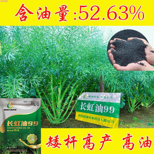Changhong Oil 99 рапс высокоурожайный новый вид рапса с низким стеблем оригинальный аутентичный черный гибрид рапса раннеспелый сорт Changhong Oil 99 содержание масла 52,63%_Changhong Oil 99