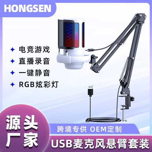 Other Home Ub Microphone Mobile Game Voice Live Broadcast Microphone RGB Recording Noise Reduction Capacitive Phone Black ME6P with Spray Net