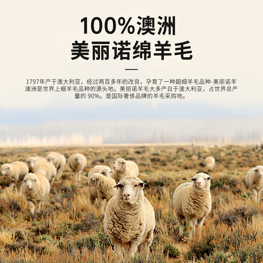 Shanshan men's 100% wool autumn and winter turtleneck sweater thickened and warm business casual comfortable skin-friendly bottoming shirt top