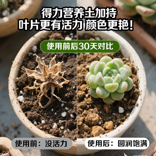 Deli Nutrient Soil Universal Flower Soil Succulent Orchid Soil Peat Soil Planting Soil Flower Vegetable Potting Soil 15L
