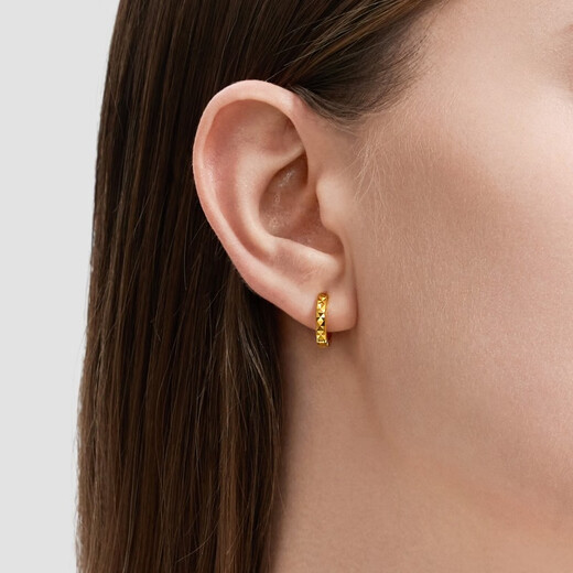 Chow Sang Sang Modern Small Circle Gold Stud Earrings Yong Series Pure Gold Crushed Ice Earrings Pair 95310E Pricing