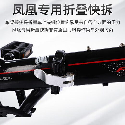 Phoenix Phoenix folding bicycle adult ultra-light portable men's and women's commuter leisure 20-inch single-speed silver gray