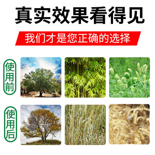 Special medicine for rotten tree roots: cyclozinone, special for removing big trees, powerful root rot king, one drop of tree dead and rotten root agent fertilizer, big tree dead 100ml 1 bottle