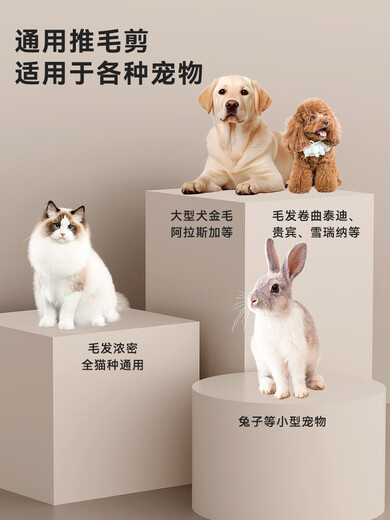 Tiger Pet pet shaver, cat foot shaver, dog electric clipper, Teddy shearing special tool, puppy hair clipper, mint green, two-in-one electric clipper