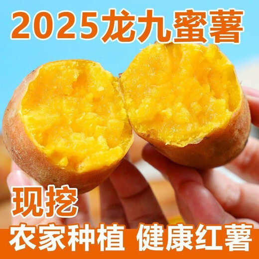 Freshly dug sandy sweet potato, fresh farm sweet potato, roasted sweet potato, soft and waxy, wholesale yellow heart, sandy sweet potato 2Jin Jin equal to 0.5kg, small and medium-sized fruits, box included