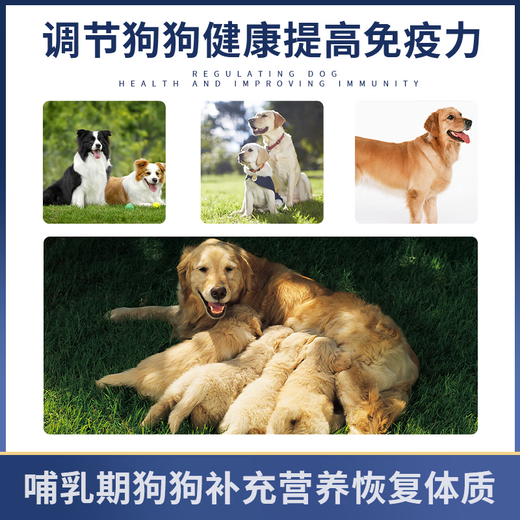 Maleti full price full term food 1kg universal dog food for all dog breeds dog food dog food dog food dog food dog food dog food