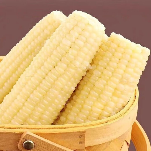 2025 Northeastern White Waxy Corn Vacuum Packed New Arrival Freshly Picked Farm-Grown Fresh Sweet Waxy Corn on the Cob Coarse Grain White Sweet Waxy Corn 2 Sticks 150-200g