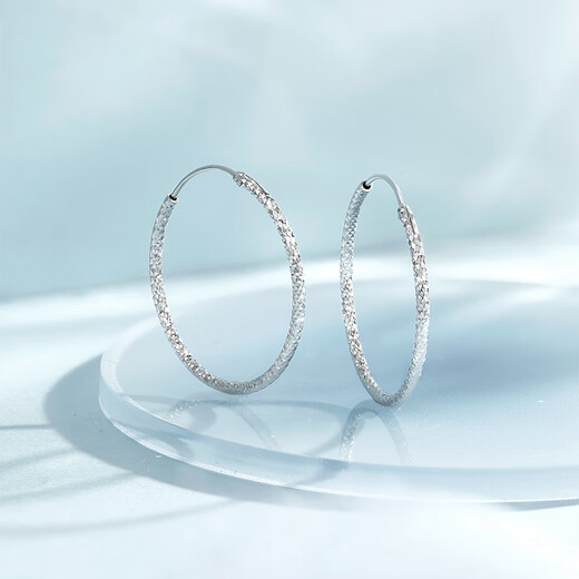 Saturday Fortune Star Earrings Women's S925 Silver Earrings Jewelry Birthday Gift D0911148 Pair