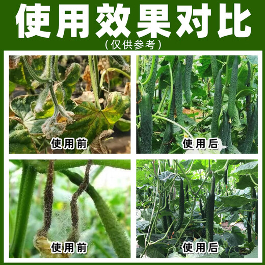 21% peracetic acid gray mold killer fungicide, genuine peracetic acid gray mold killer, 1000g*1 bottle, selected special offer