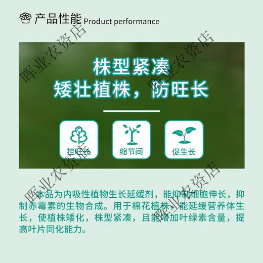 Guoguang Guoguang methylphenidate metopyramide to support growth hormone grape tomato pepper watermelon strawberry cotton chlormequat enlargement agent 100g*20 pack