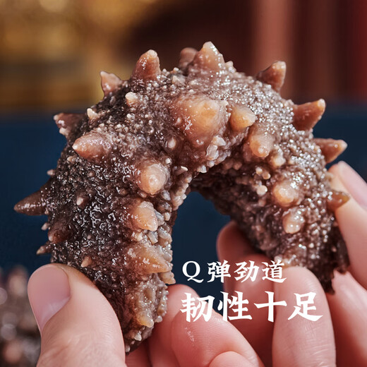 Deep sea zone Dalian origin ready-to-eat sea cucumber 1Jin Jin is equal to 0.5 kg 17-20 Liao ginseng OCC flagship store direct from the source