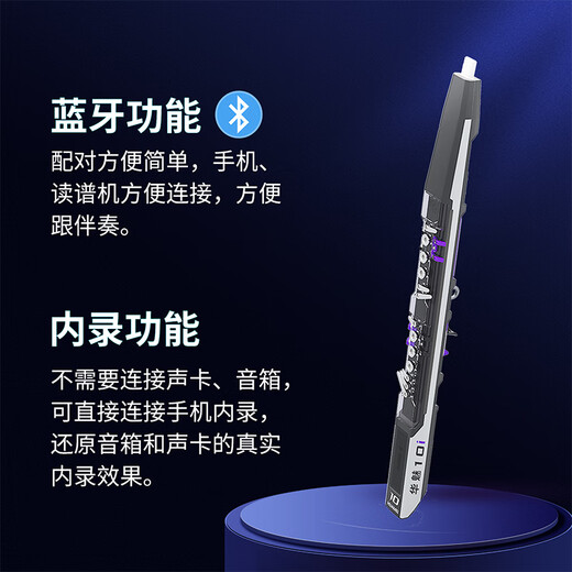 华魅10i电吹管2025款初学者电子管国产乐器大全旗舰店 （紫色）华魅10i