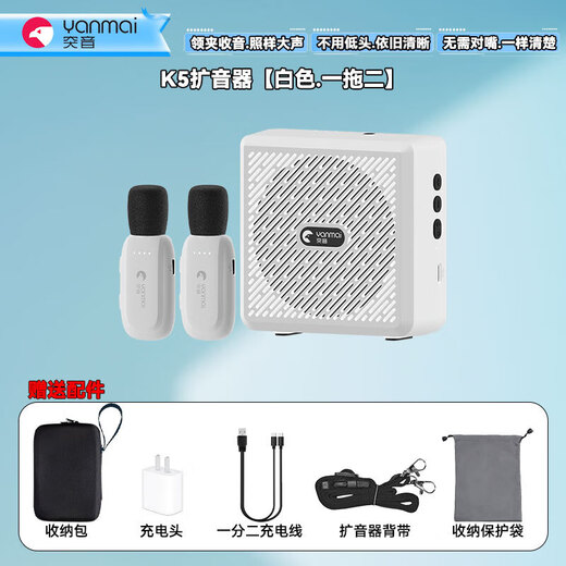 Tuyin K5 Wireless Lavalier Microphone Amplifier for Teachers, Small Bee, High Volume, Anti-Howling, Noise Reduction Microphone for Teacher Class Meetings, Bluetooth Small Speaker, Outdoor Tour Guide, Voice Protector Tuyin K5-White, Double Model, Wireless Lavalier Amplifier