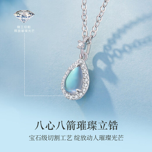 Grace Girl Rupert's Tears Necklace for Women Light Luxury Niche Water Drop Pendant Clavicle Chain Fashion Accessories Birthday Gift for Girlfriend Rupert's Tears Necklace-Local Warehouse