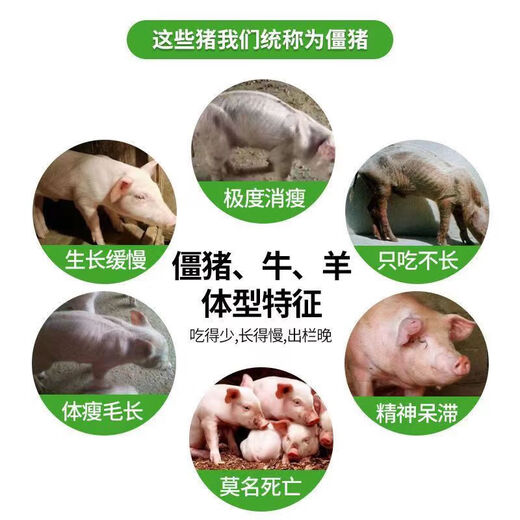Pigs are appetizing and invigorating. Eat hard and grow stiff pigs. Stiff pigs will not grow long just by eating. Pig growth hormone is a fattening feed additive. Stiff pigs won’t grow long just by eating. 2 bags. Eat hard and grow.