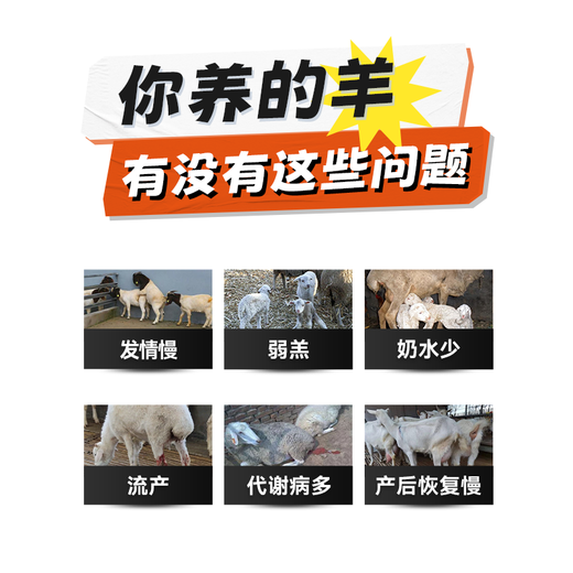 OIMG breeding ewe premix, lambing, multi-pregnancy period, lactation ewe feed, milk production, Doinmeier premix, ewe premix 20kg (Lamb Duowang)