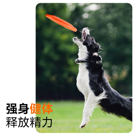 Zhenyou Pet Dog Toy Dog Training Frisbee Border Shepherd Golden Retriever Interactive Boredom Relief Outdoor Training Pet Supplies 18cm