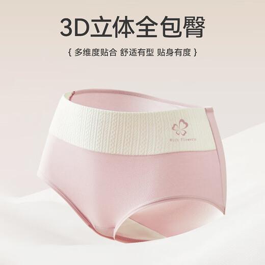 Urban Beauty Underwear Women's Medium High Waist Tummy Control Class A Pure Cotton 10a Antibacterial Extended File 2025 New Women's Cotton Ladies Briefs