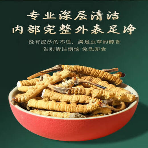 Beijing Tongrentang Pang Donglai Tong Quality [Inspección de calidad de soporte] 10 gramos de hierba grande rota auténtica cordyceps sinensis cordyceps sinensis cordyceps sinensis 30 gramos llenos de tres gramos 33 gramos de 33 gramos