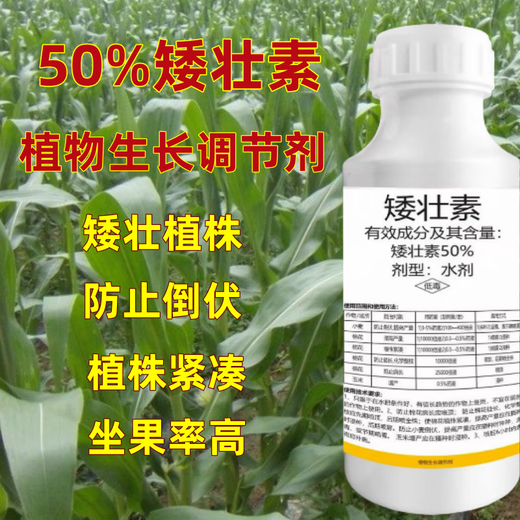 50% chlormequat to prevent leggy corn, peanut and soybean growth regulator wheat anti-lodging flower growth control agent 50g bottle