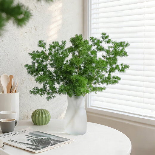 Like smoke and fog Penglai pine 3 pieces