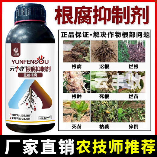 Yunfeng Harvest Корневая гниль Ингибитор Корневая гниль Немезида Желтая гниль листьев Увлажнение корней Мертвое дерево Основание гнили Сильная активация корней Почва Прямые продажи с фабрики Рекомендуется 6 больших бутылок * 6000 г + мерный стакан