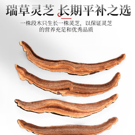
Banshan Farming Ganoderma lucidum pruning slices 250g Shandong Taishan Red Ganoderma lucidum dry goods non-wild spore powder soaked in wine medicinal materials [Big slices] Ganoderma lucidum tablets 250g
