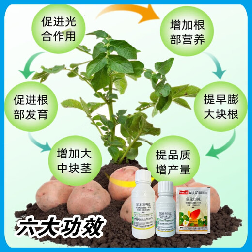 Choline chloride, garlic, ginger, onion, sweet potato, potato, peanut, medicinal underground rhizome expansion hormone regulator 500g1 bottle (500g/bottle)