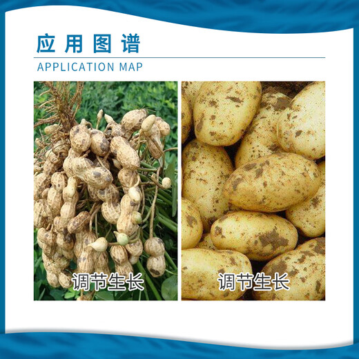 Leco Shuofang 60% Choline Chloride Peanut Potato Potato Growth Regulator Soluble 100g