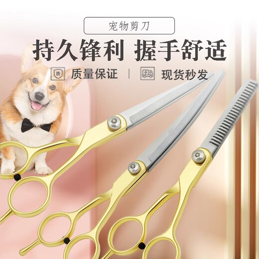 Tanizaki pet grooming scissors, dog hair tool set, 7-inch trimming scissors, curved scissors, Teddy cat and dog pet scissors, gold-plated straight scissors + curling scissors + dental scissors + steel comb + bag
