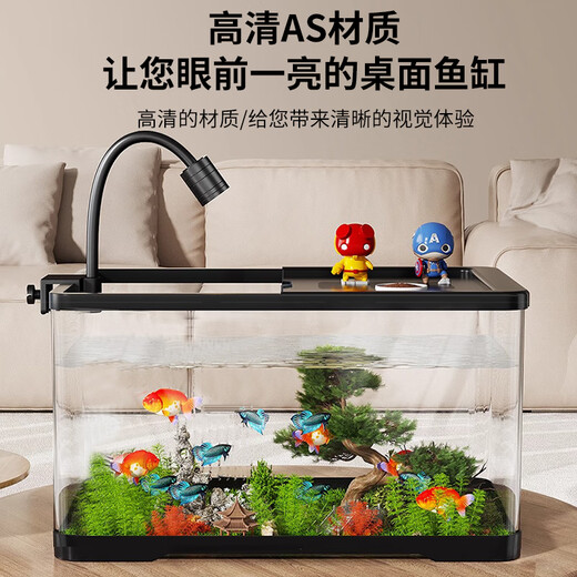 Turtle tank household landscaping filter circulation sun terrace climbing platform acrylic ecological mixed fish tank small turnover box three-in-one filter
