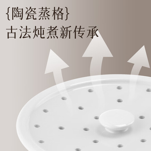 TONZE electric stew pot, water-proof stew pot, stew pot, stew pot, stew pot, household porridge cooker, double steel double stew/one pot and three bladders/2.2L