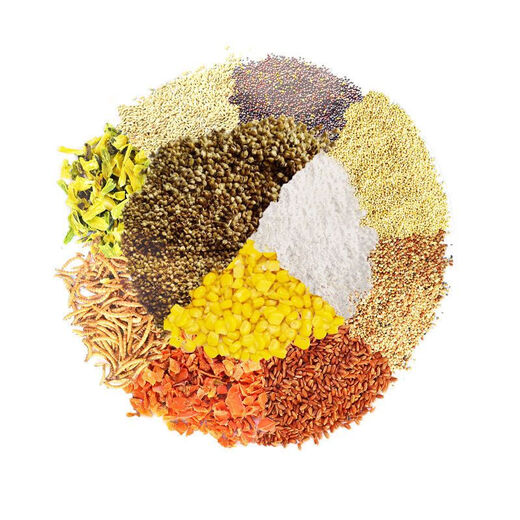 Rutin chicken food, full-price chicken feed, egg production grain, mealworm brooding food, 900s quail full-term feed, rutin chicken full-term food, 500g (1 Jin Jin is equal to 0.5 kg)