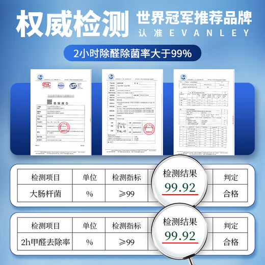 EVANLEY German ozone generator sterilizer household air purifier industrial food factory car sterilization and formaldehyde removal 20g/h (120 square meters)