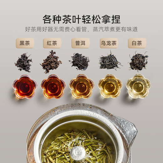 SUPOR health pot tea boiler tea kettle electric kettle steam spray tea kettle kettle glass flower tea kettle tea steamer 304 stainless steel office SW-10C07