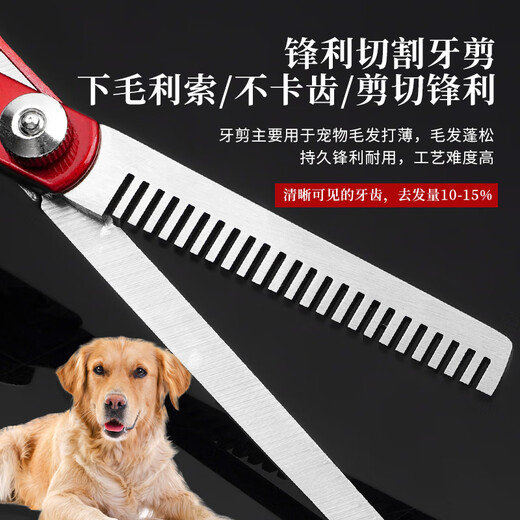 Tanizaki pet grooming scissors, dog hair tool set, 7-inch trimming scissors, curved scissors, Teddy cat and dog universal artifact, dragon blood red pet scissors set