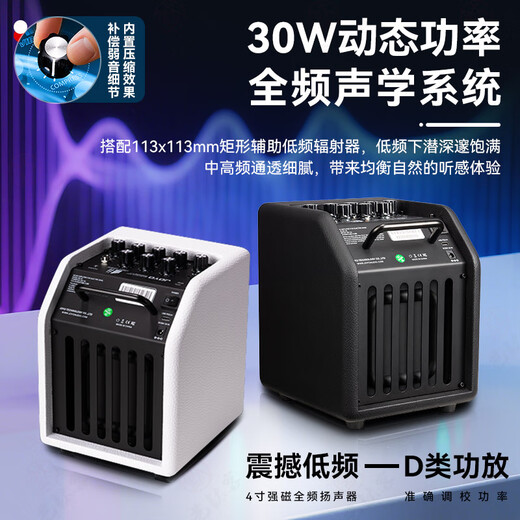 JOYO Electric Bass Speaker BA-30 Bluetooth Portable Live Broadcast Recording Playing and Singing Full-frequency Simulation Dynamic Electric Bass Small Speaker SF BA-30 Black + Cable + Gift